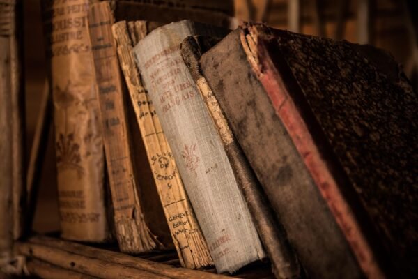 Ruang Baca Perpustakaan Kota Palu: Meningkatkan Minat Baca Masyarakat