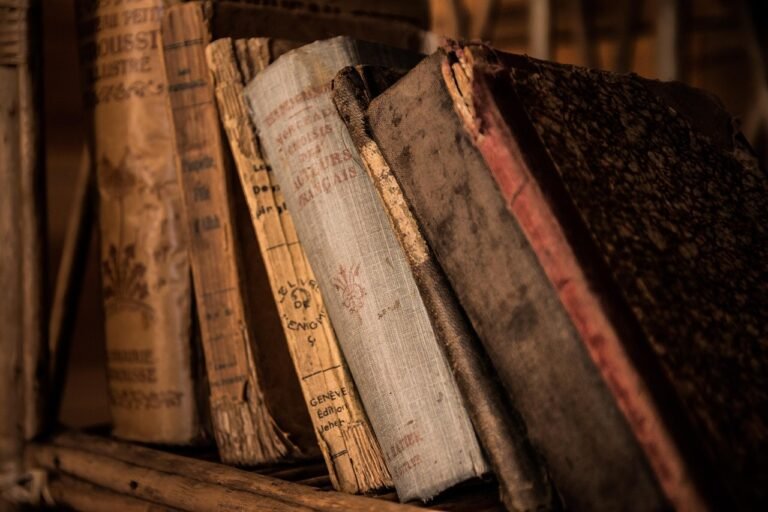 Ruang Baca Perpustakaan Kota Palu: Meningkatkan Minat Baca Masyarakat